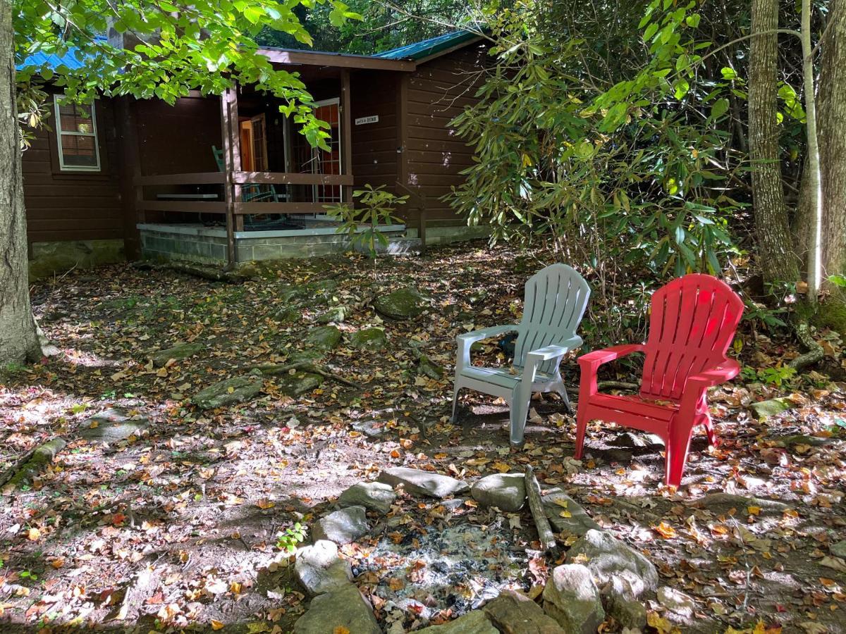 Cozy Cabin Pet Friendly Ada Compatible Maggie Valley Exterior foto